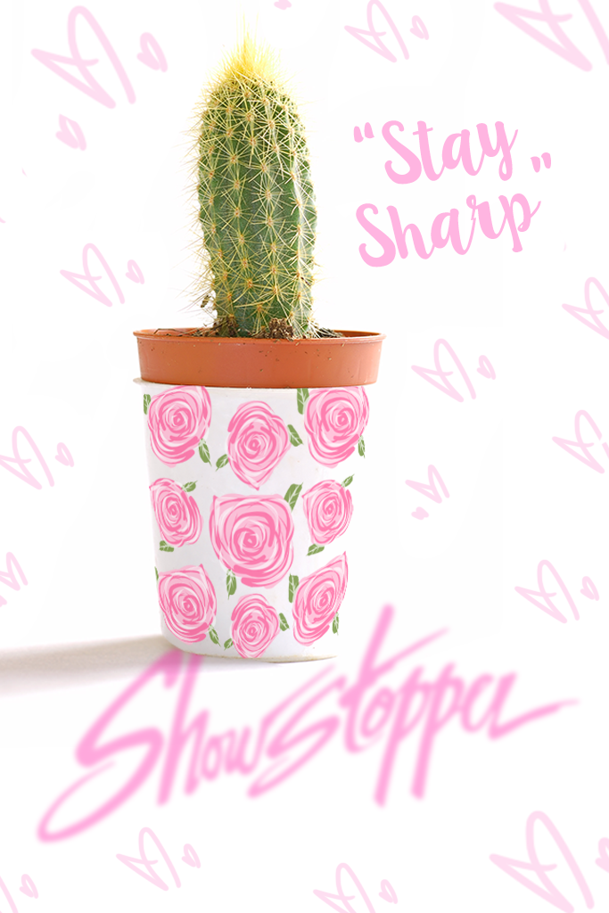 The Lazy Technique To Read More Here On Succulents For Sale Online